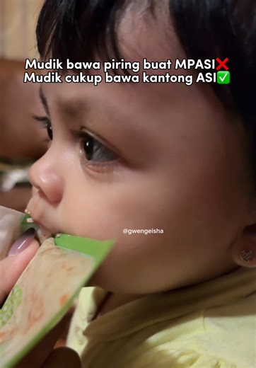 Bawaan Mudik Ibu dan Bayi