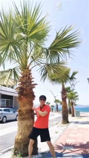 "Summer Vibes Dab 🌴☀️ | Epic Dance Challenge"📌