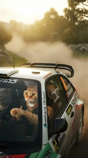 Rallye-Katze am Steuer