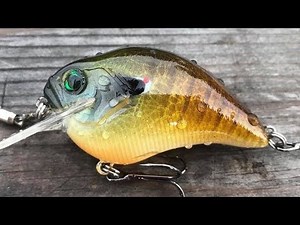 Painting a Realistic Supreme Blue Gill