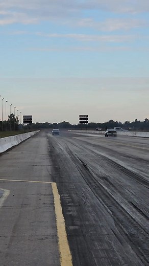 Traci Lynn Harvey on Reels