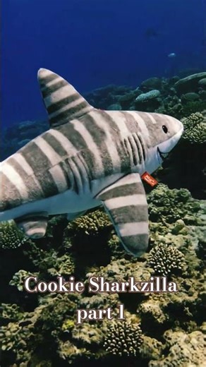 Cookie the sharkzilla part 1