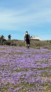 241K views · 2.7K reactions | Velika Planina … danes 7.4.2024 | City Magazine Slovenia | Facebook