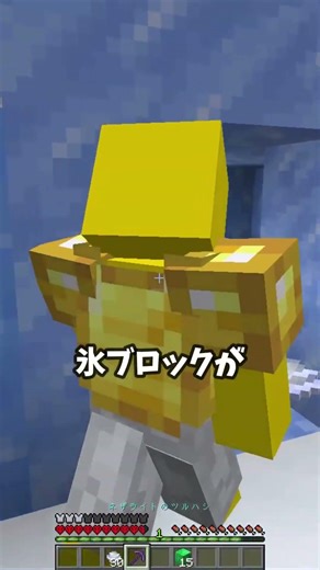 10年かけてあと1つエメラルドブロックが足りない...