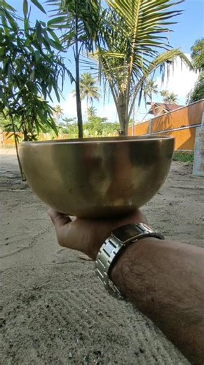 The Science of Singing Bowls: Brainwave Entrainment