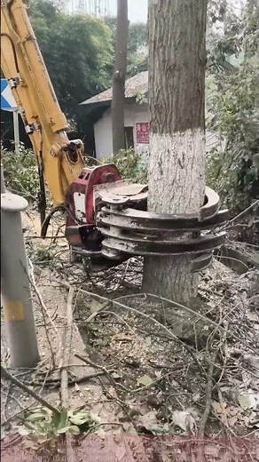Live Demonstration: Excavator Ring Cutting Technology, Easy Tree Removal
