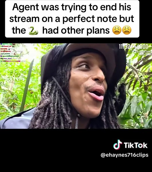 Agent survived 24 hours in the amazon rainforest despite a 🐊 eyeballing him through the trees and a snake creeping around where he slept 😭😭 congratulations @Agent wwwww #fyp #streamer #clips #amp