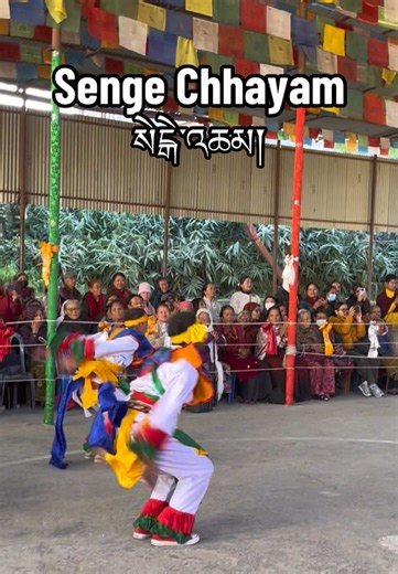 Senge#lhakpa07 #buddhist☸💫 #foryoupage #buddhism #pokhara @པདྨ་བཛྲ།🥰 @Kun Zang @☸️འཇིགས་མེད་།☸️