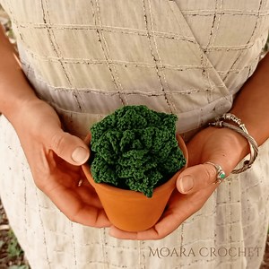 Crochet Succulent Flower Pattern -