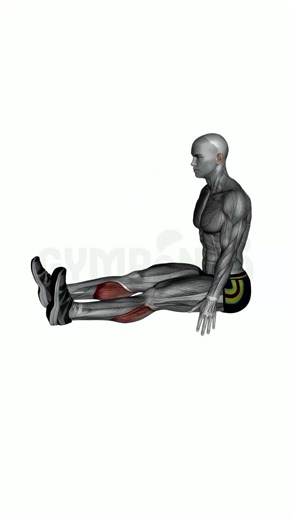 Seated Calf Stretch - Perfect Form Guide #shorts