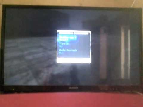 Skate3 comment mettre le mode boucherie