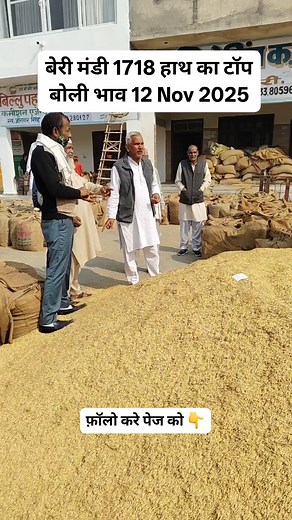 बेरी मंडी 1718 हाथ का टॉप बोली भाव 12 Nov 2025 | Live Mandi Bhav