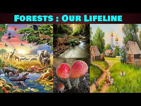 Forests our lifeline class 7 science chapter 17 ncert animated video in hindi with full explanation