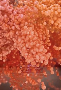 7.1K views · 40 reactions | NEW and EXCLUSIVE  Red Bull | 7-Eleven Australia | Facebook