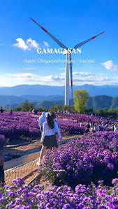 📌 Festival Name: Gamagaksan Aster Chrysanthemum Festival (거창 감악산 아스타 국화 축제) 📅 Dates: Every year from mid-September to mid-October (2025 schedule TBA) ⛰ Location: Byulbaram Hill, Gamagaksan, Geochang-gun, Gyeongsangnam-do, South Korea 🌸 Highlights: • Vast purple aster fields covering the mountain slopes • Sunset and night-time light shows ✨ • Scenic photo zones 📸 — perfect for couples, families, and friends • Local food market with regional specialties 🍲 🚗 Parking: Available 🌌 Best Time to
