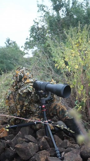 91K views · 3.4K reactions | Wait for results 勞 || #shorts #wildlifephotography #nature #nikon #canon #sonyalpha | SK.Photography 2.O | Facebook