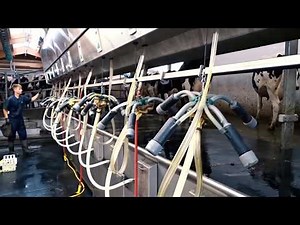 Westwaard BacTrol Backflush System