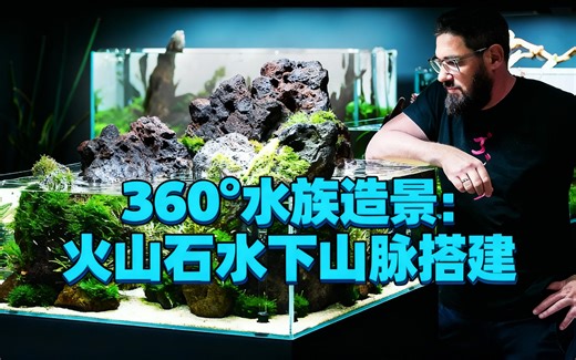 [中配]360°水族造景：火山石水下山脉搭建 - Green Aqua