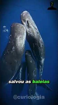 DOES PETROLEUM COME FROM DINOSAURS?? ... #sergiosacani #curiosities #podpah