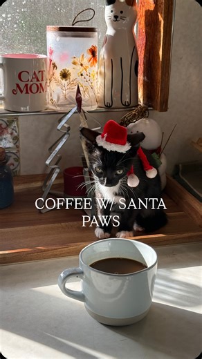 Lauren on Instagram: "ready to take on the day"