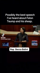 142K views · 7.4K reactions | The Guardians of Democracy on Reels | Facebook