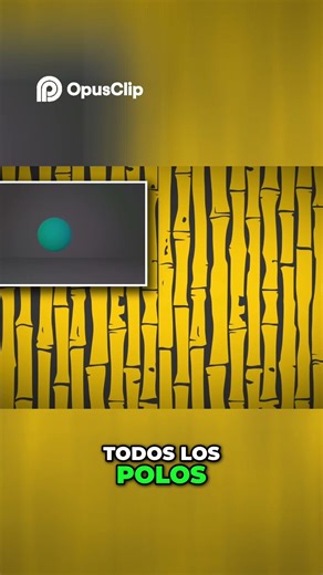 ¡Explora Planos Proyectivos! De Juegos a la Esfera