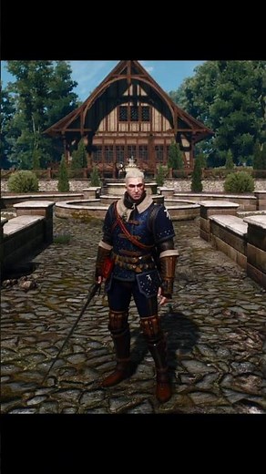 Mastercrafted Feline Gear - The Witcher 3