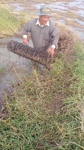 216K views · 3.5K reactions | ច្រើន | Cam VIP | Facebook