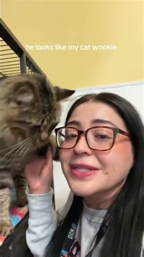 @mitziivonne: #feralcat #straycat #adoptstrays #rescuecat