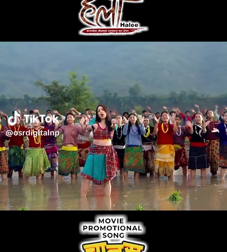 Chanas Paye Ta Dance - HALEE Official Song 2025