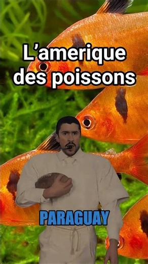 Ils viennent d'où tes poissons préférés ?
