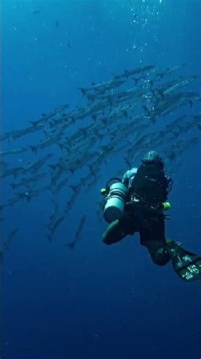 Pakistan Navy 2050: The Silent Power of the Seas