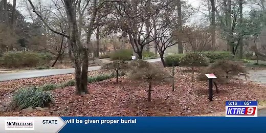 House resolution looks to renew Garden Capital of Texas designation in Nacogdoches