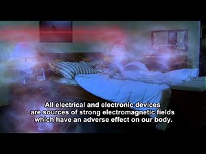 Human exposure to the effects of the electromagnetic field
