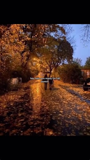 𝐬𝐩𝐨𝐨𝐤𝐲 leaf 🍂 | I LOVE fall!! 🍂🍁☕️ Follow: @cozyfallvibesz Follow: @cozyfallvibesz Credits: @amorkatii.tk (on TikTok) 20 days until 𝒇𝒂𝒍𝒍 🍂 Account... | Instagram