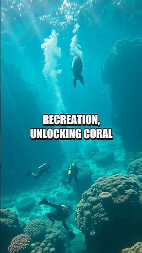 The Aqua-Lung Breakthrough that Opened the Ocean to Everyone