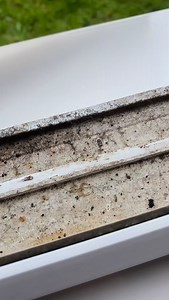 Watch how our Window Vac makes light work of window cleaning👀 Did you know that our Window Vac can be used to clean shower screens, tiles, mirrors and more! All without the premium price tag✨ #windowvac #satisfyingcleaning #cleaninghacksthatwork | Beldray