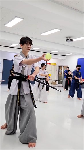 Traditional martial arts with sword training 🤺 ✨ | UNILAD