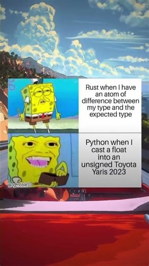 🤣 So Funny: Rust Vs. Python Type Checking. 😂😂🤣🤣 #funny #memes #trending #coding #programming #fyp