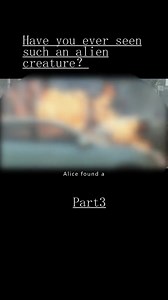 Crazy power | Recap Films | Facebook