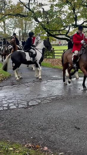 Exploring Meath Hunt in Ireland