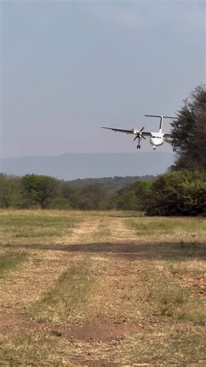 Auric Air continues to provide seamless connectivity to Tanzania’s most iconic safari destinations. Here, our Dash 8 lands at Kogatende Airstrip — a key gateway to the Serengeti’s Great Migration and one of East Africa’s most remarkable wildlife spectacles. ✈️🌍 #AuricAir #FlyingSafaris #AviationExcellence #Serengeti #TourismTanzania #GreatMigration @nyundo_rewilded | Auric Air Services Ltd Tanzania