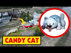 DRONE CATCHES CANDY CAT FROM POPPY PLAYTIME CHAPTER 2 AT POPPY PLAYTIME ISLAND | CANDY CAT REAL LIFE