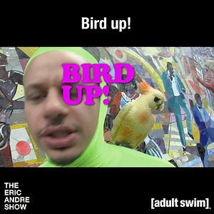 5.8K views · 35 reactions | Talk to the bird. Watch The Eric Andre Show on All 4 | Adult Swim UK & Europe | Facebook