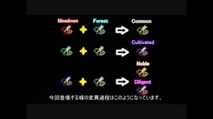 【Minecraft】アドオン多めでゆっくり工業　その6【工業化MOD】