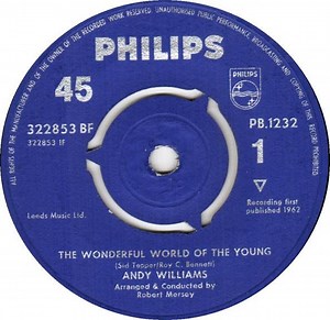 Andy Williams - The Wonderful World Of The Young / Help Me