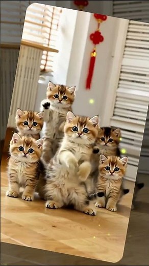 😺 Dancing Cat – The Catchiest Cat Meme Song