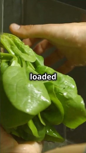 Best Weight Loss Smoothie Recipe!