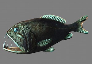 Jaws of Evolution - deep sea "creatures". news