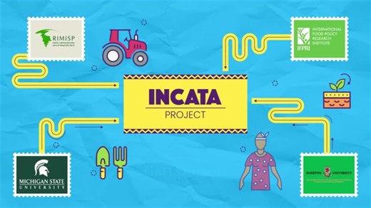 Project INCATA: Final Results | Proyecto INCATA: Resultados Finales | Rimisp - Centro Latinoamericano para el Desarrollo Rural